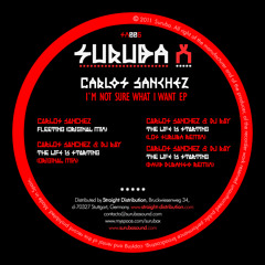 Deep house and techno