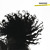 Artwork for Jahcoozi - Speckles Shine feat. Guillermo (L.V. Rmx) _ OUT ON 13.05.2011 on Bpitch