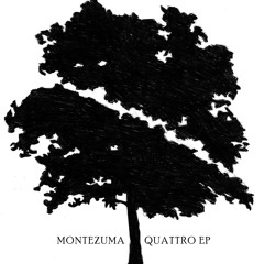 01 MONTEZUMA -Quattro