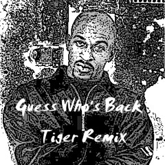 Rakim - Guess Who's Back (Tiger Remix)
