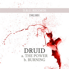 Druid - The Power (clip) - DRU001