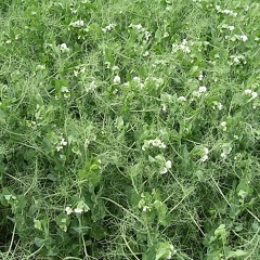 Jon Donson Studio Mix Mai 2011