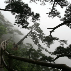 DWRLOX - GOA DRUM SPACE - GOA PSY * download enabled *