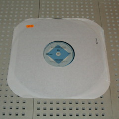 Sil - Blue Oyster /A-Blue oyster.