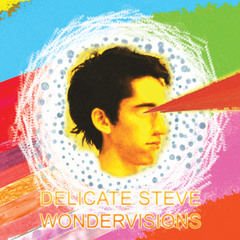 Delicate Steve - The Ballad of Speck and Pebble