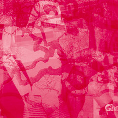 Trees are Following (sans vocals)