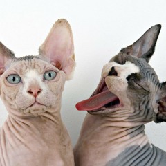 'WHiTe BLaNK PaGe' - Mumford & Sons cover