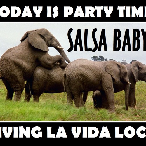 PELLIN RODRIGUEZ - ARREBATADORA