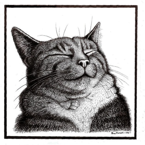 Carl's Place - The Hipper Critters