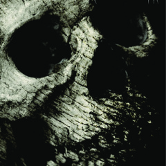 02 - Haunted from within