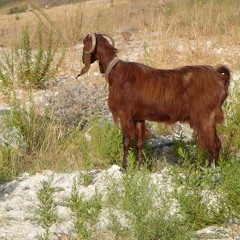 "Sorry to Interfere...anyone cares"