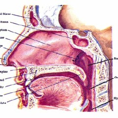 Blank Space & Case -- throat dub super beat (LIVE)