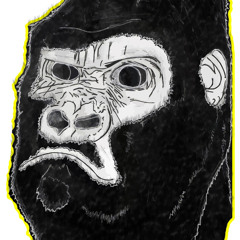 May 5th 2011 acoustic opeth style