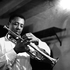 Dr. What - Horn Meets Boy