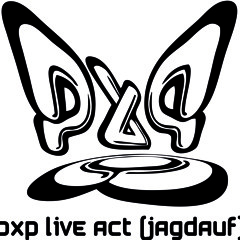 PxP live - Stimmen im Wind Remix