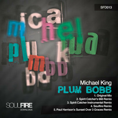 Michael King - Plum Bobb (Original Mix)