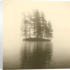 Pine-Mr Andersen- FOEM008 313