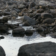Shallow brook