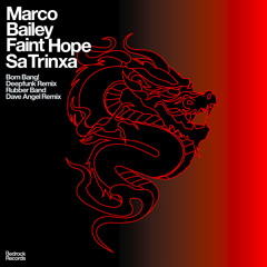 Marco Bailey - Faint Hope