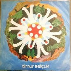 Timur selçuk - Caddeden Sokaklara