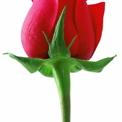 De La Ghetto Ft. Jowell & Randy -  XXX