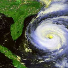 Hurricane in the Brain