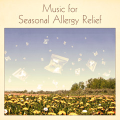 Music for Seasonal Allergy Relief Pt. 1 (Synthesizer & Field Recordings)