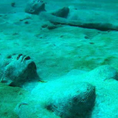 Wade in the Water - Undertow Kings Live at The Cobra Lounge 05/04/11
