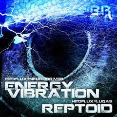 Energy Vibration, with Hedflux