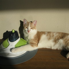 Phoney & Klyde - Liberty State ft. Zezil & Obama