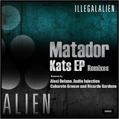 Matador - Rolling Cubes (Ricardo Garduno's Flanger 666 Mix)