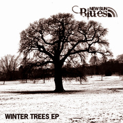 Winter Trees