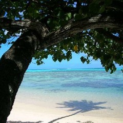 Sharkoon - Catanzaro - Mai - 2011