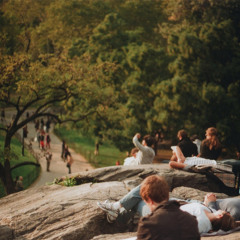 Hillside