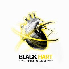 Vybz Kartel - You A Mi Baby - Blackhart Remix