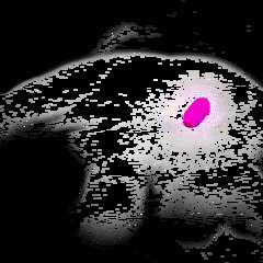 TeaDrops (2008 - 07-07) - Alexander Nuzhdin - teadrops session