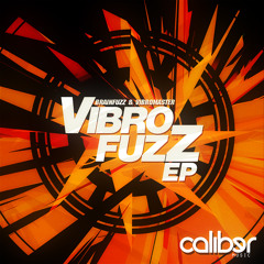 BrainfuzZ&Vibromaster-Smash&Destroy(Caliber Music)