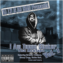 02 - picture me rollin Ft Kurupt, Big Syke & C-Bo (DJ LV & Na$ MIx)