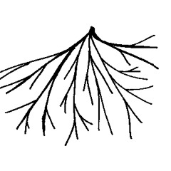 Jack back to the roots!!!