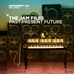 Ann Nesby - Love Is What We Need (Mousse T.'s Love Dub)