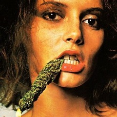 The Green Zone - High Times Megamix