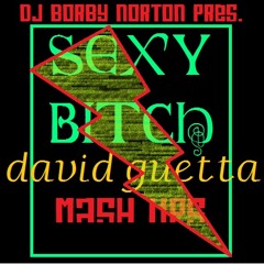 DAVID GUETTA - SEXY BITCH VS. ERICKE - THE BEAT IS ROCKIN - MIXED BY DJ BORBY NORTON