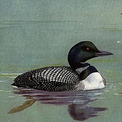 People are asking about you