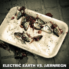 Electric Earth VS. Jærnregn - Worries [No Worries Remix]