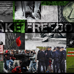 02 fake freedom (mp3)