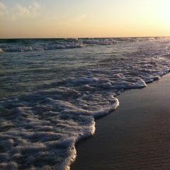 Tam Tam Studios Preview