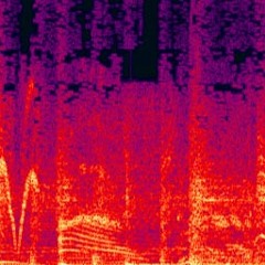 Spectral