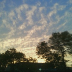 Smack Lab - EveryKnite