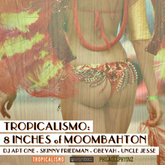 8 Inches Of Moombahton