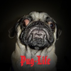 Pug Life